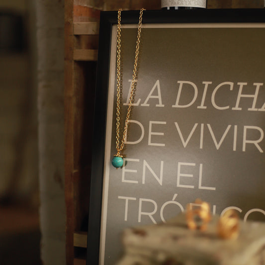 POSTER 30x40 - VIVIR EN EL TRÓPICO