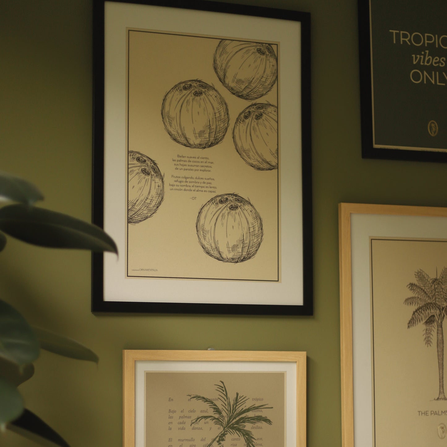 POSTER 50x33 - COCONUTS