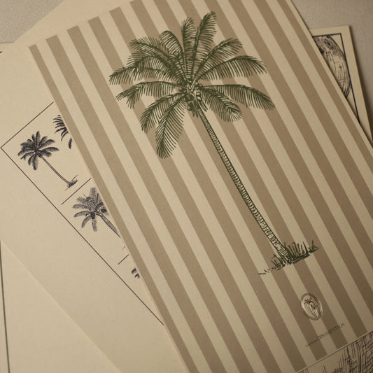 POSTER 50X33 - LINEA Y HOJA