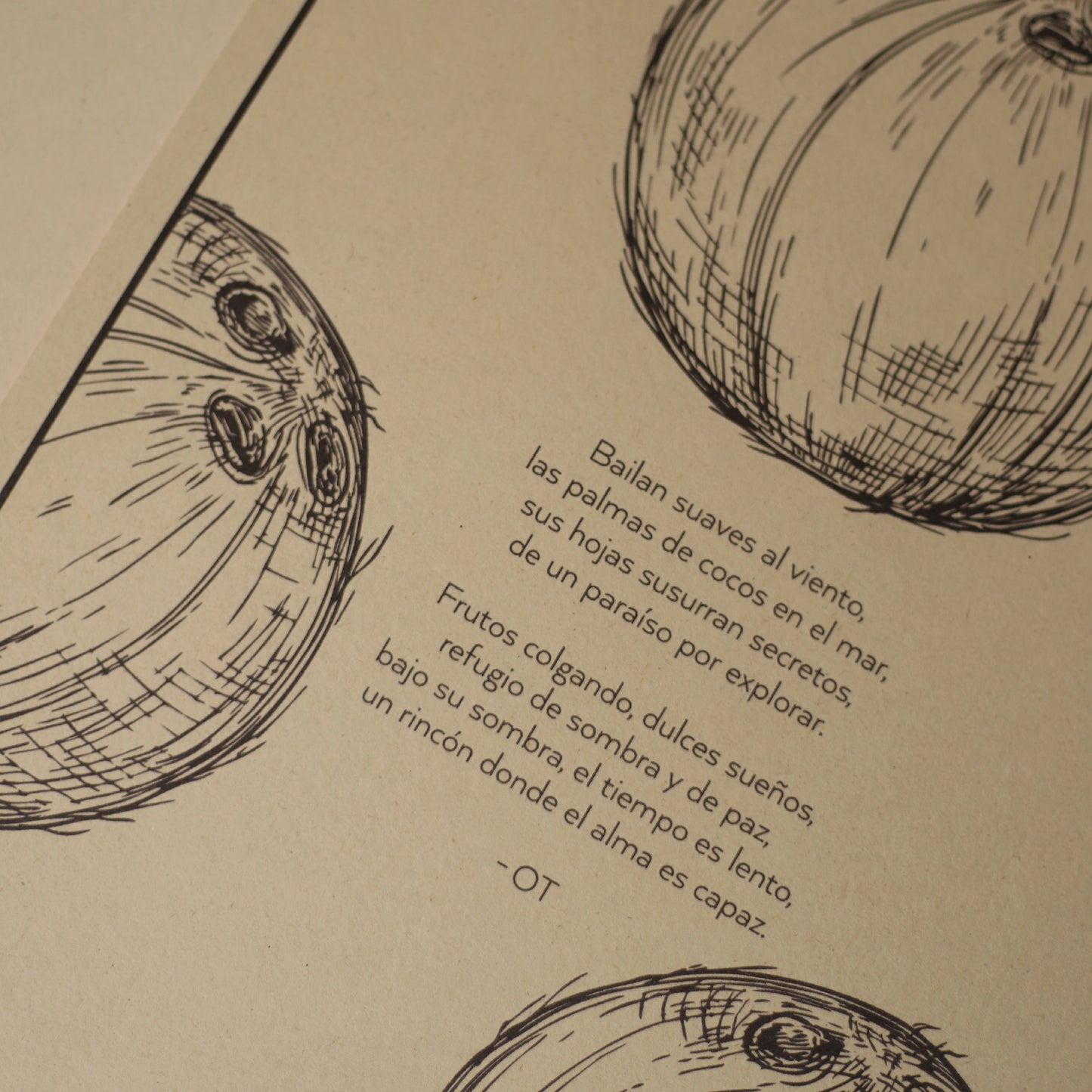 POSTER 50x33 - COCONUTS