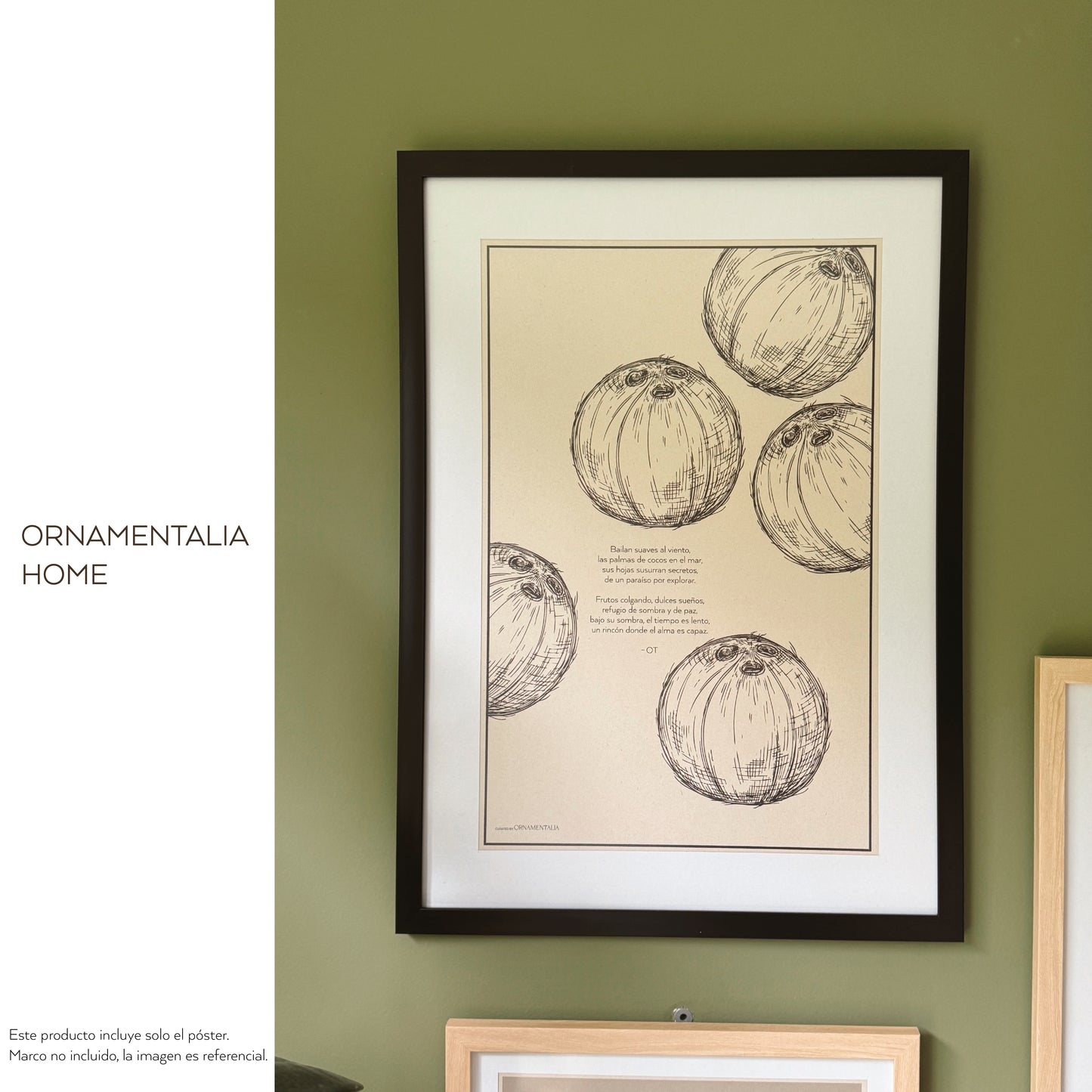 POSTER 50x33 - COCONUTS