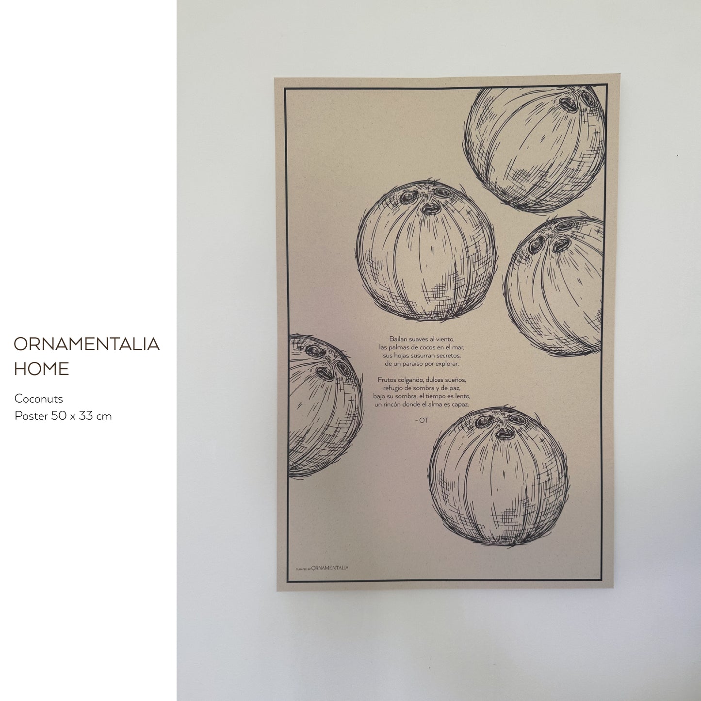 POSTER 50x33 - COCONUTS